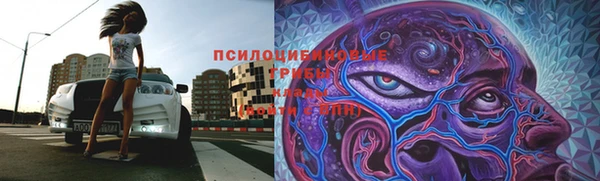 марихуана Инта
