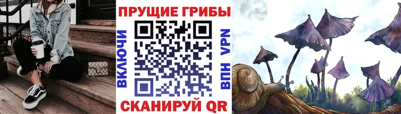 Купить где  Голицыно  Псилоцибиновые грибы Magic Shrooms 